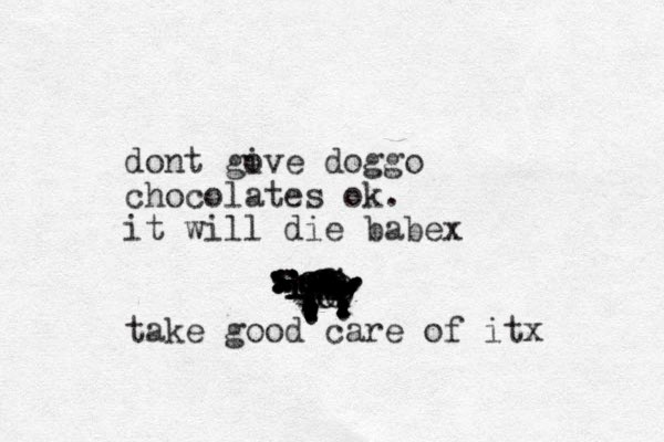 ooooooooooooooooooiioooooooooooookooiiiiiiii........................................................................... dont gove i doggo chocolates ok. it will die babex take good care of itx 