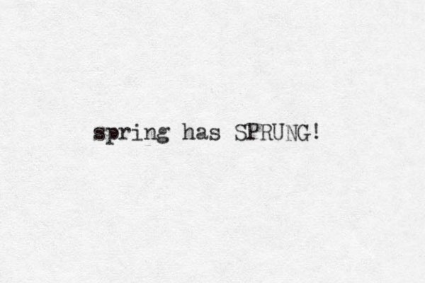 spring has SPRUNG! 