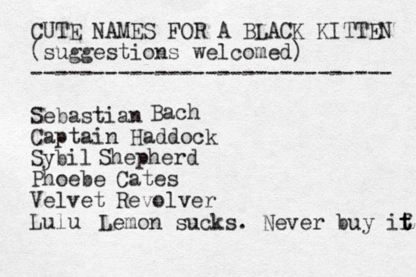 CUTE NAMES FOR A BLACK KITTEN (suggestions welcomed) ----------------------------- Sebastian Captain Haddock Sybil Phoebe Velvet Lulu Bach Shepherd Cates Revolver Lemon sucks. Never buy if t t 
