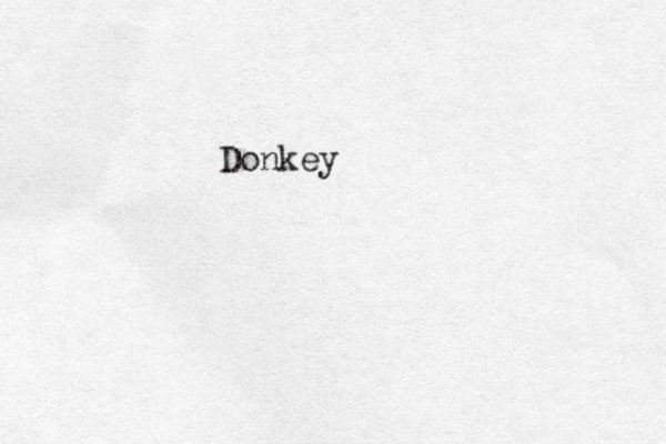 Donkey 