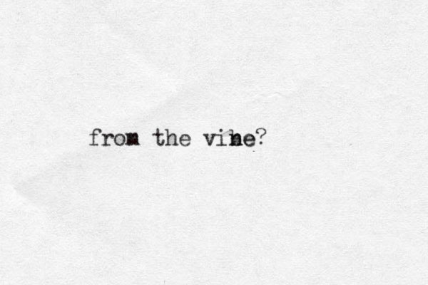 fron m the vibe n ne? 