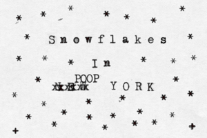 S n o w f l a k e s s I n N E W Y O R K * * * * * * * * * * * * * * * * * * * * * * * * * * * * * * * + + * xxxxxx POOP