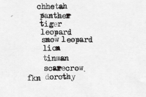 chhetah panther tiger leopard snow leopard lion tinman scarecrow dorothy fk