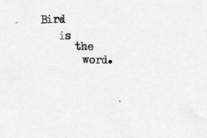 wor Bird is the