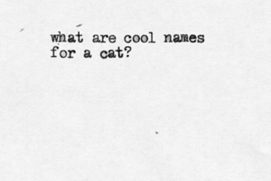 what are cool names for a cat