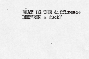 WHAT IS THE diffirence BETWEEN A duck