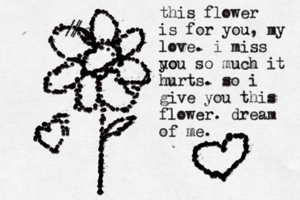 .............................................................//...................................................................///........................................................................................................................................................................................................................................................................................................................................................................................... this flower is for you u , my love. i miss uo you so much it hurts. so i give you this flower. dream of me. .............................................................................................................................................................................