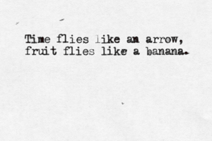 Time flies like an arrow, fruit flies likr e a banana .