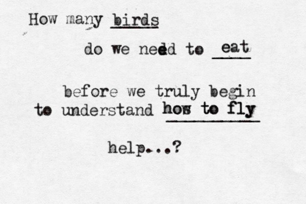 How many _____ do we ned ed e to ____ before we truly begin to understand __________ help...? birds eat e how hos to to fly fly 