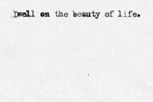 Dwell on the beauty of life.