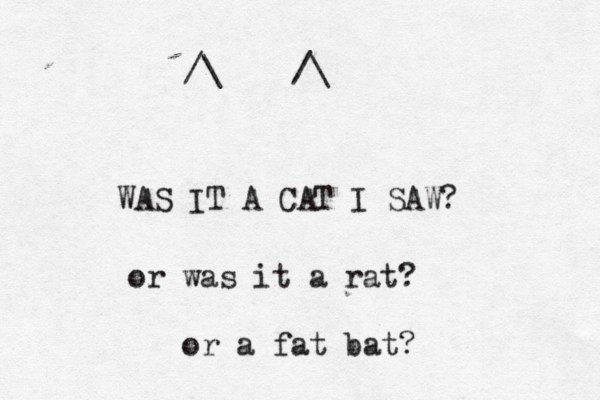 WAS IT A CAT I SAW? or was it a rat? or a fat bat? /\ /\ 