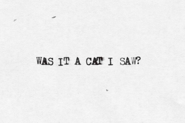 WAS IT A CAT I SAW? 