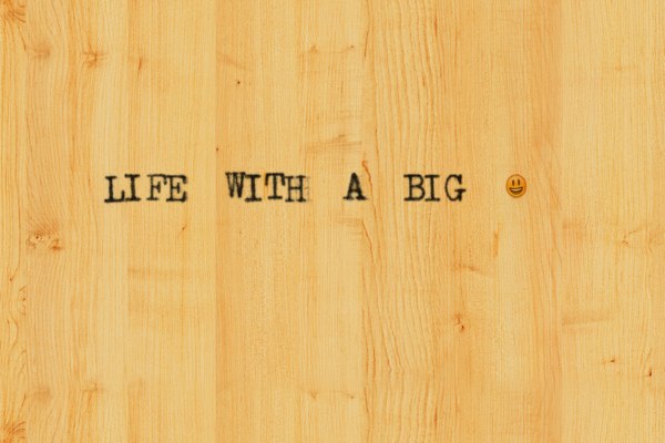 LIFE WITH A BIG |